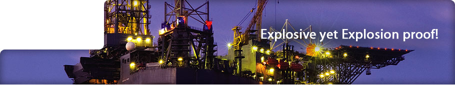 Electronic products manufacturer